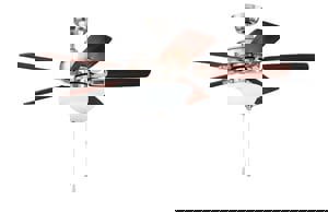 CCY BPNI 42 CEIL FAN 5BLD W/ LED