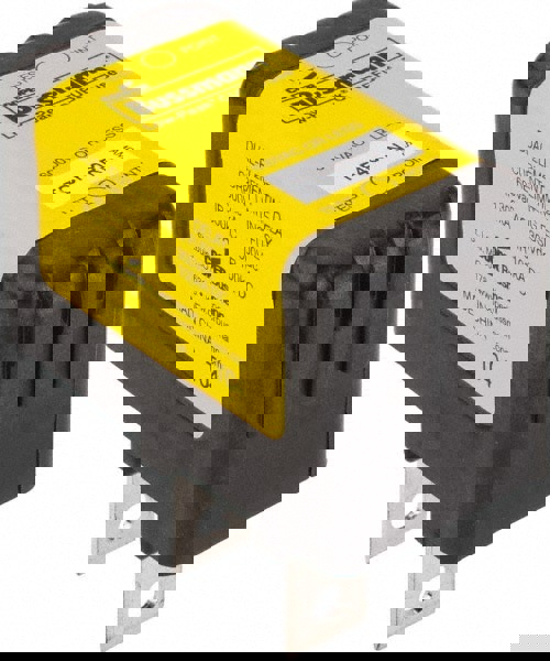 Blade Time Delay Fuse: CF, 40 A