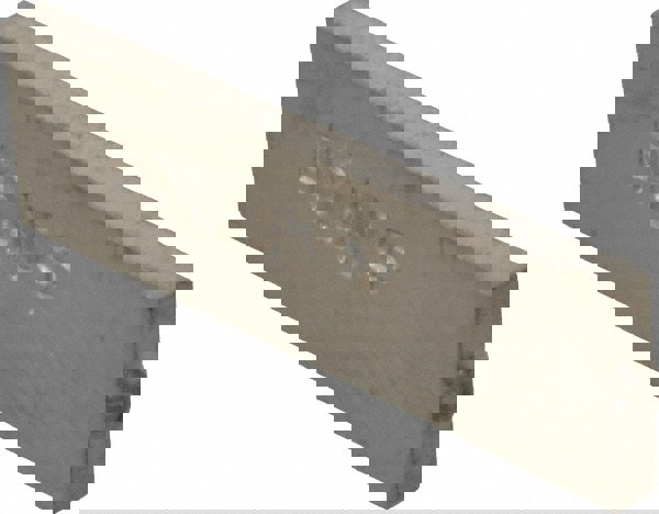 Letter G, Individual Hardened Steel Type