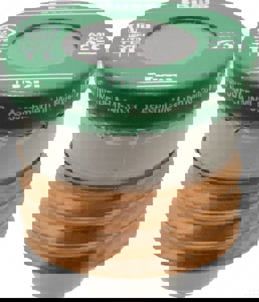 Plug Time Delay Fuse: 25 A, 2-1/4