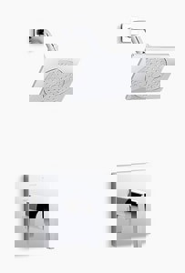 1HDL LEV P/BAL SHWR VLV TRIM CP
