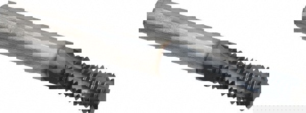 Helical Flute Thread Mill: Internal, 4 F