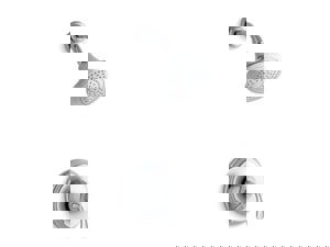 @ CCN 2.5 1HDL LEV P/BAL SHWR TRIM