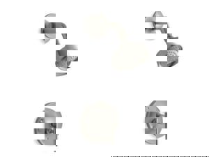 CCN 2.5 1HDL LEV P/BAL SH