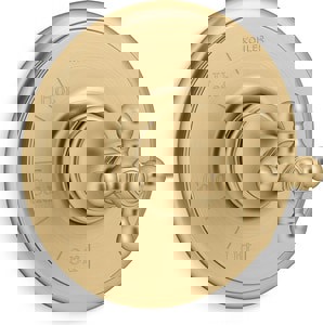 Single Handle Pressure Balancing Valve Trim in Vibrant Brushed Moderne Brass