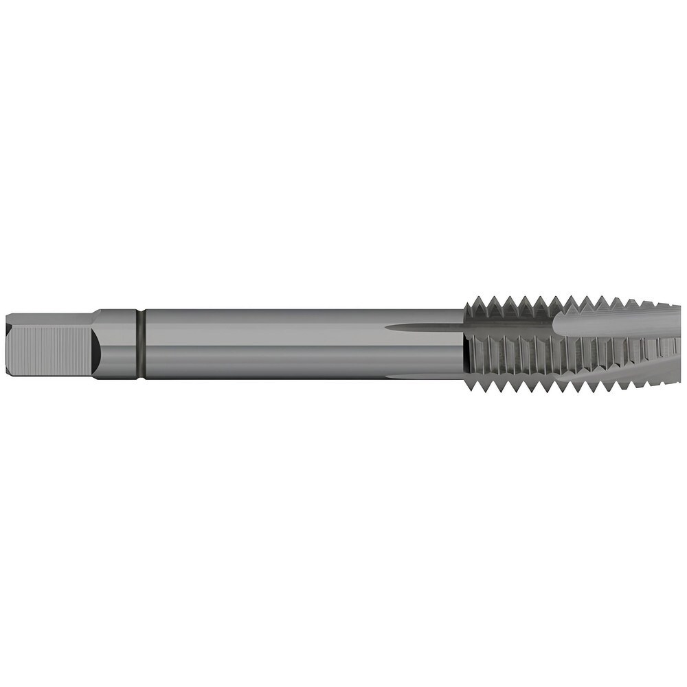 Spiral Point Tap: M12x1.75 Metric, 3 Flutes, Plug Chamfer, 6H Class of Fit, Powdered Metal, Steam Oxide Coated