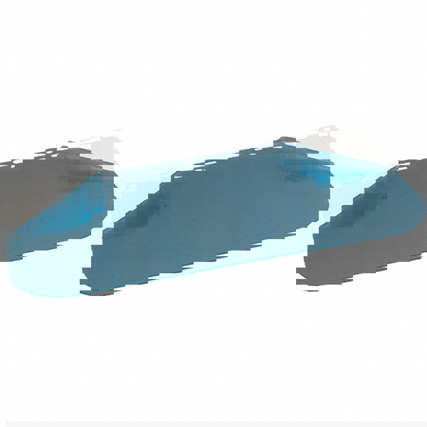 Face Shield Windows & Screens: Replacement Window, Clear, 0.04