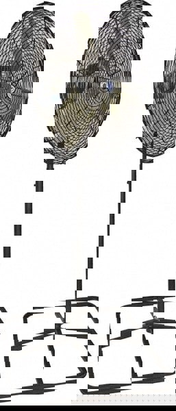 Industrial Circulation Fan: