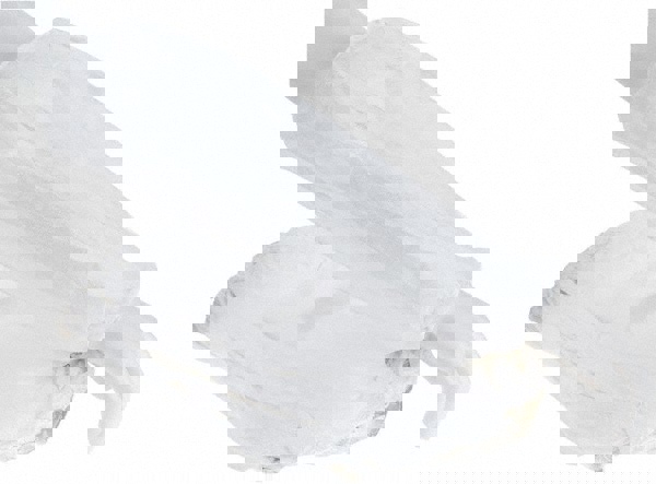 Disposable Sleeves: Size Universal, Tyvek, White