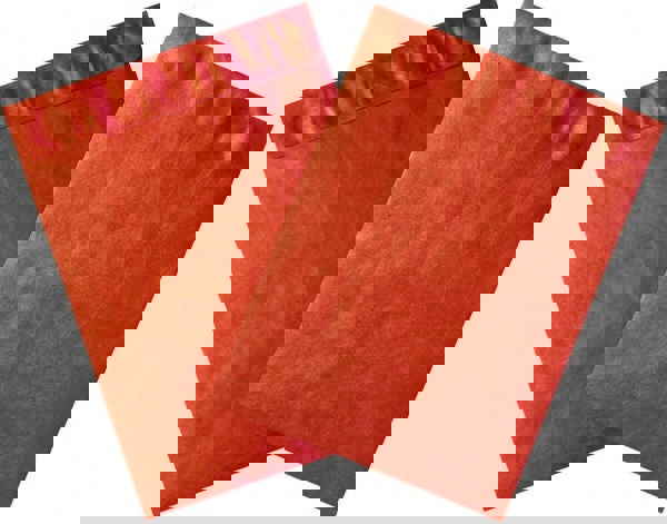 Tyvek Flat Catalog Mailing Envelope: 10