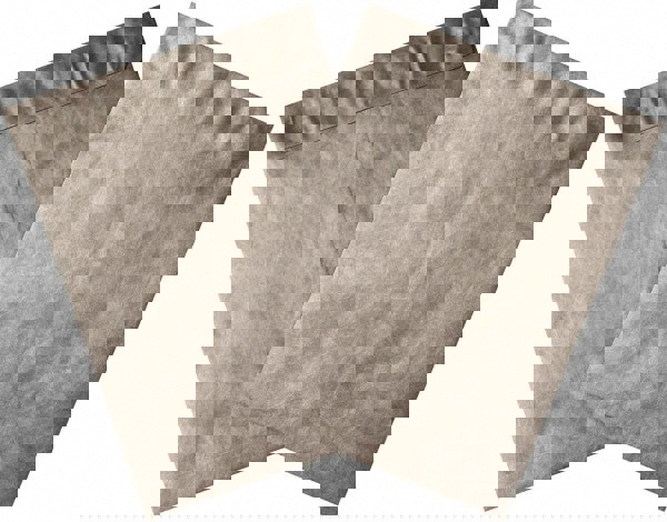 Tyvek Flat Catalog Mailing Envelope: 10