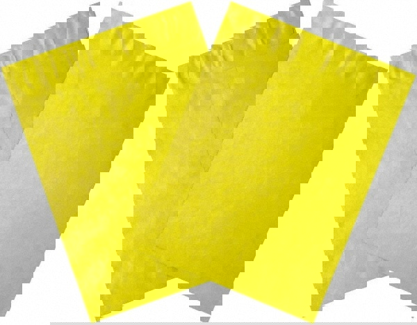 Tyvek Flat Catalog Mailing Envelope: 10