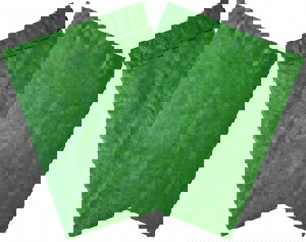 Tyvek Flat Catalog Mailing Envelope: 9