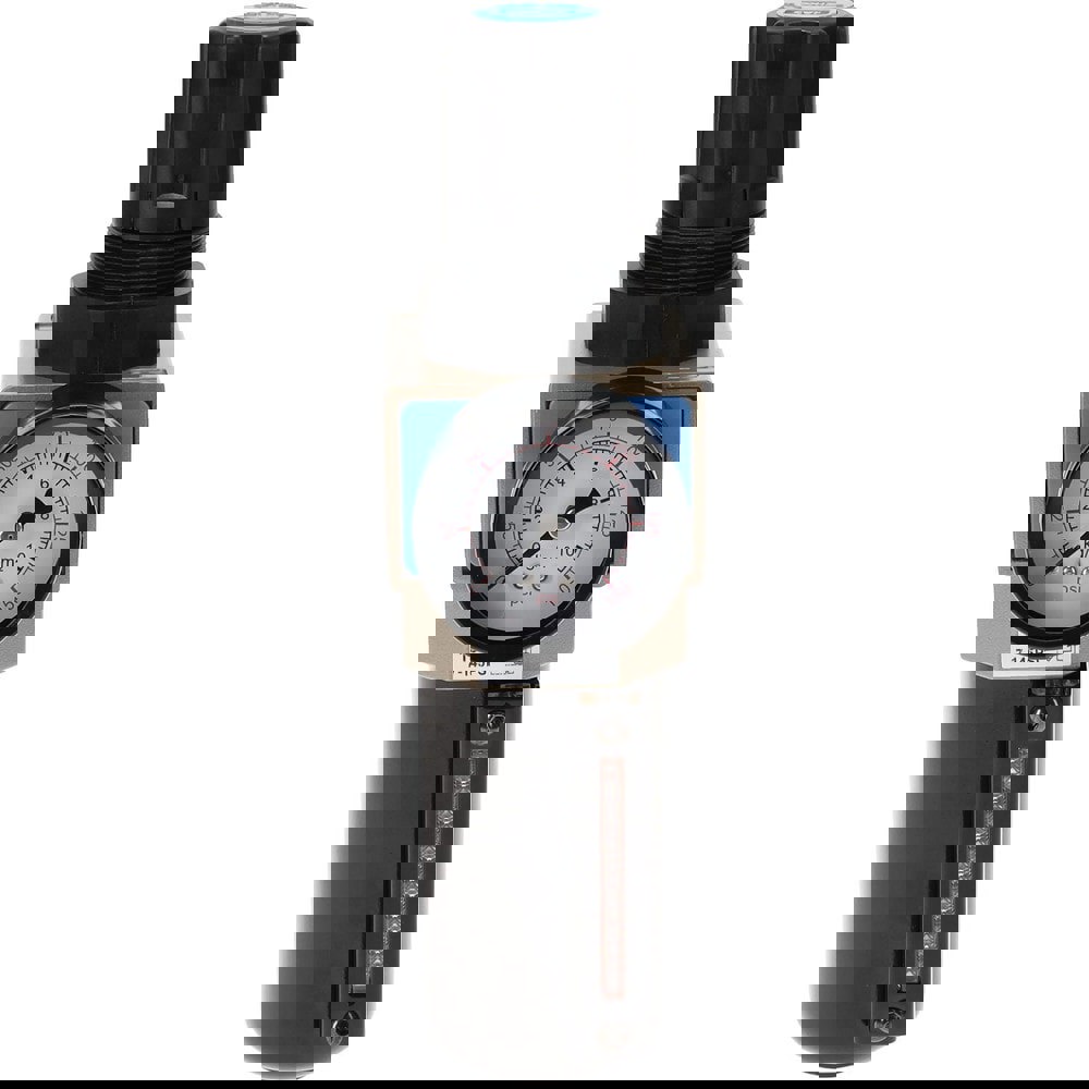 FRL Combination Unit: 1/4 NPT, Intermedi