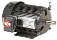Three Phase Standard Efficient AC Motor: TENV Enclosure