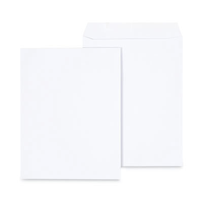 White Catalog Mailing Envelope: 10.13