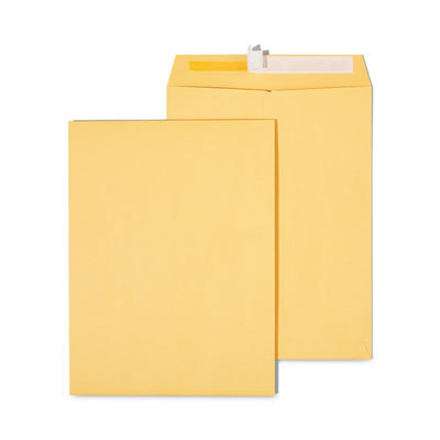 Kraft Catalog Mailing Envelope: 9.63