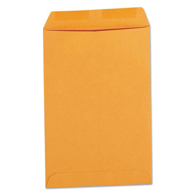 Kraft Catalog Mailing Envelope: 6