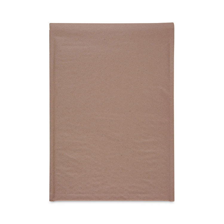 Padded Mailer: Self-Adhesive