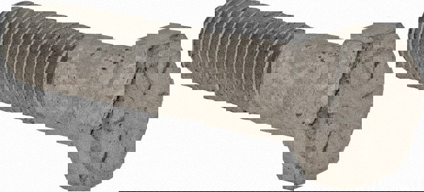 Hex Head Cap Screw: 1/2-13 x 2-1/4