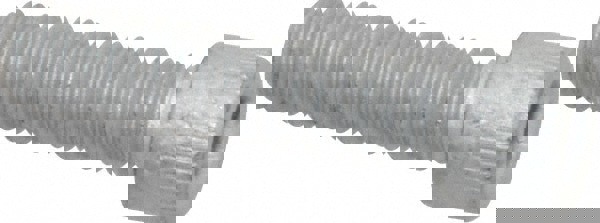 Socket Cap Screw: 1/4-20, 1