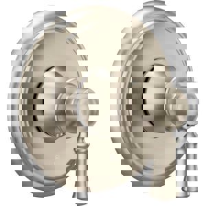 1HDL LEV T/VLV TRIM BN