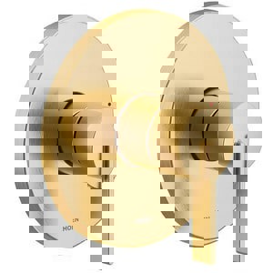 Single Handle Pressure Balancing Valve Trim in Brushed Gold