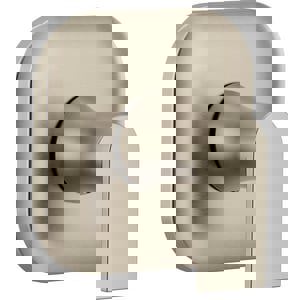 1HDL LEV T/VLV TRIM BN