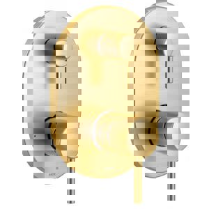 CCY 2HDL LEV SHWR VLV TRIM *ALIGN