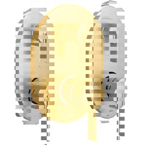 1HDL LEV 3F T/VLV TRIM *CIA BG