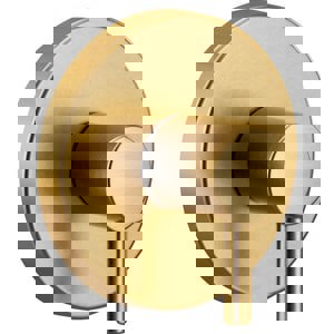1HDL LEV T/VLV TRIM BG