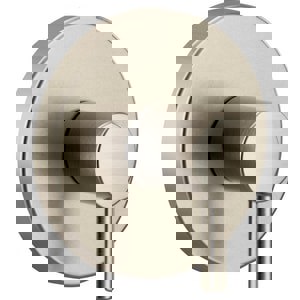 1HDL LEV T/VLV TRIM BN