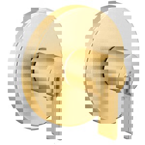 1HDL LEV 3F T/VLV TRIM *CIA BG