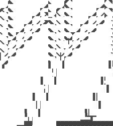 Ss Sanitary & Clamp Type Fitng