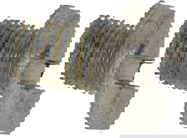 Machine Screw: Cheese Head, Slotted