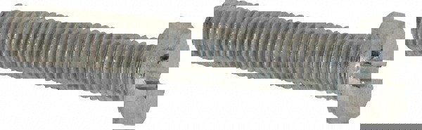 Machine Screw: Cheese Head, Slotted