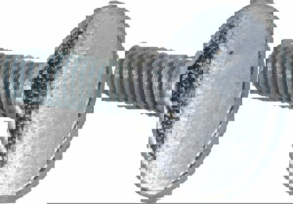 2 Steel Thumb Screw: M8 x 1.25, Oval Head