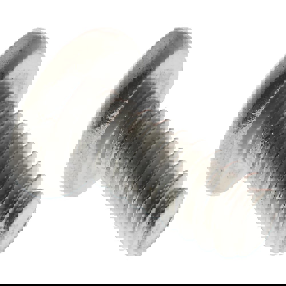 Machine Screw: #4-40 x 1/4