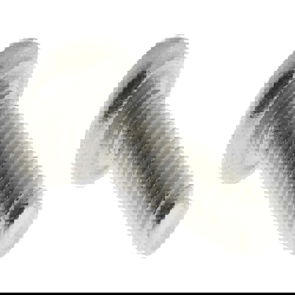 Machine Screw: #6-32 x 3/8