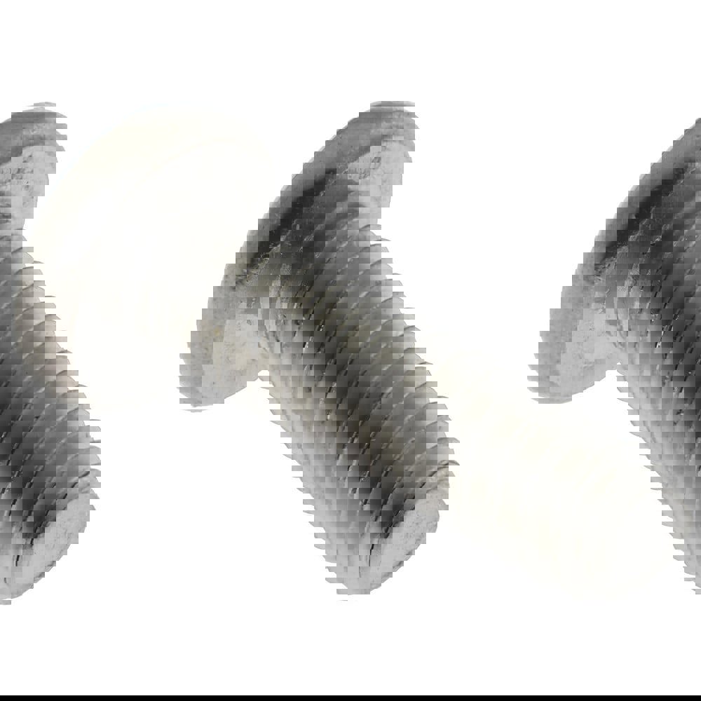 Machine Screw: #6-32 x 1/2