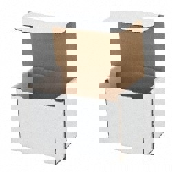 Crush-Proof Mailer: 4