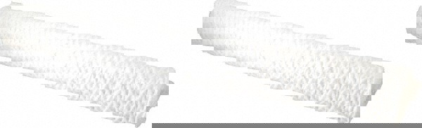 Plumbing Cartridge Filter: 2-1/2