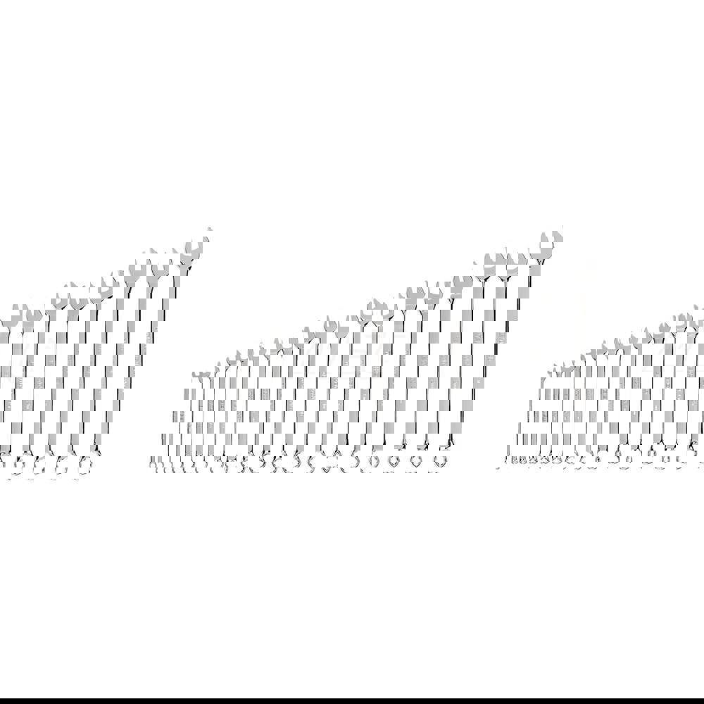 Combination Wrench Set, 19-Piece (6-24 mm)