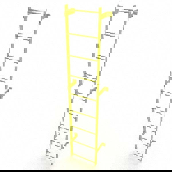 Steel Wall Mounted Ladder: 8