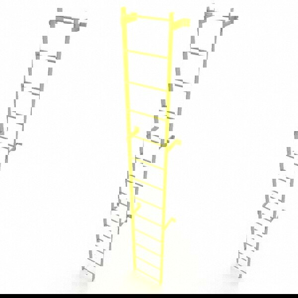 Steel Wall Mounted Ladder: 12