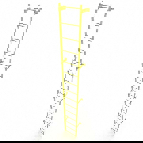 Steel Wall Mounted Ladder: 14