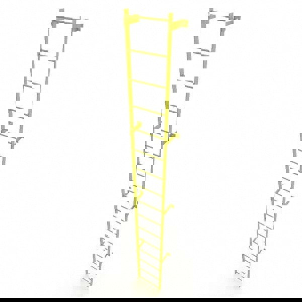 Steel Wall Mounted Ladder: 15