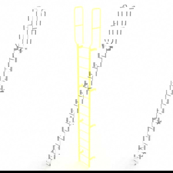 Steel Wall Mounted Ladder: 13