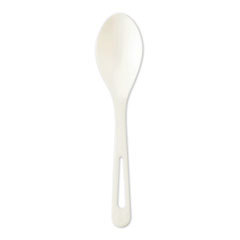 SPOON,TPLA,6