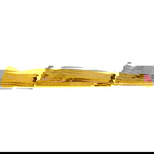 Flat Eye & Eye, Type 3 Web Sling: 4' Long, Polyester